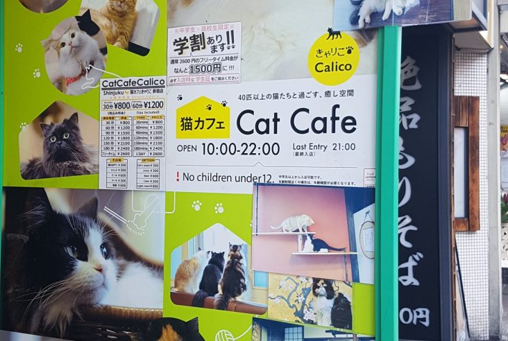 A Cats Cafe
